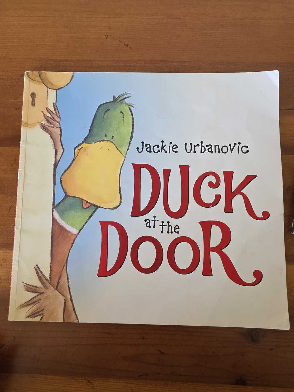 Scholastic Duck at the Door Picture Book - Green, Yellow, Red, Brown, Blue
